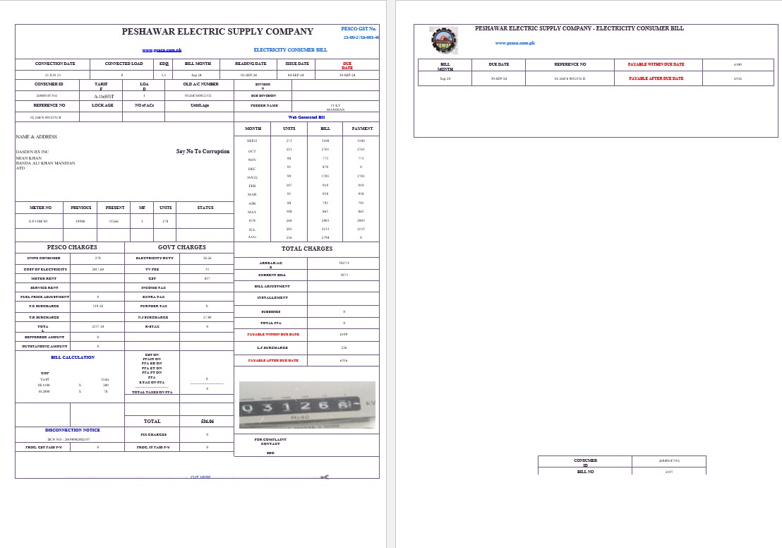 PAKISTAN PESHAWAR ELECTRIC SUPPLY COMPANY business utility bill Word and PDF template PSD template